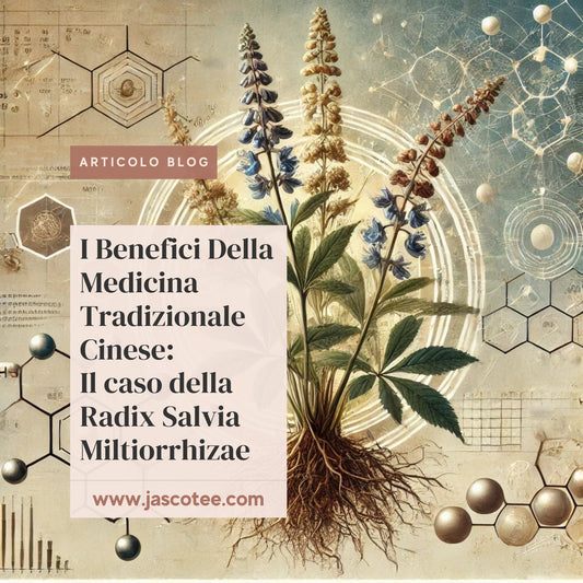 Benefici della medicina tradizionale cinese: Il caso della Radix Salvia Miltiorrhizae