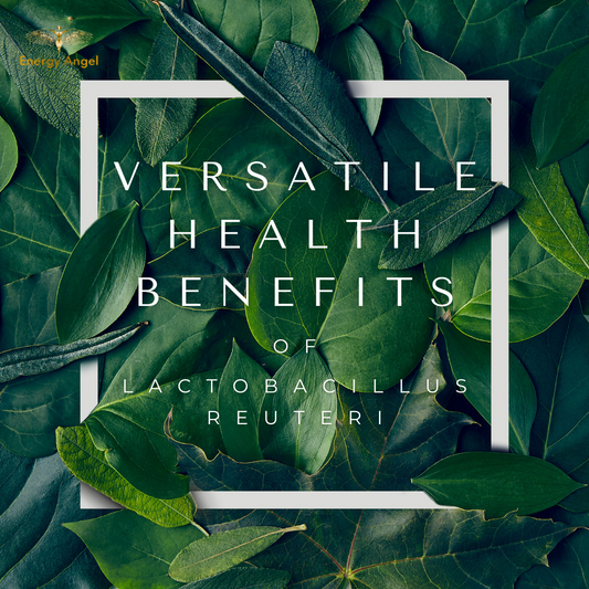 Lactobacillus Reuteri: Versatile Health Benefits