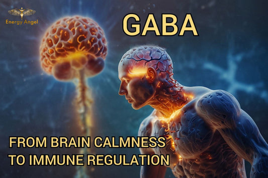 Unveiling the Dual Role of GABA: From Brain Calmness to Immune Regulation