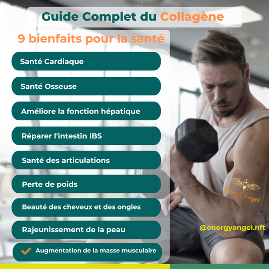 Guide Complet du Collagène