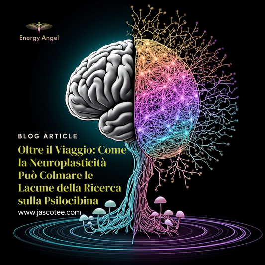 Oltre il Viaggio: Come la Neuroplasticità Può Colmare le Lacune della Ricerca sulla Psilocibina