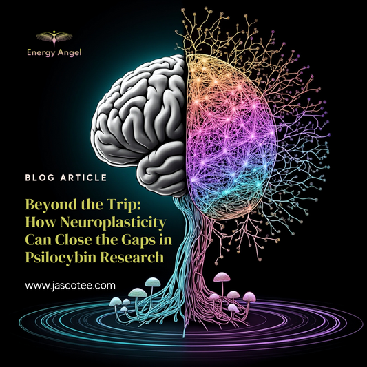 Beyond the Trip: How Neuroplasticity Can Close the Gaps in Psilocybin Research